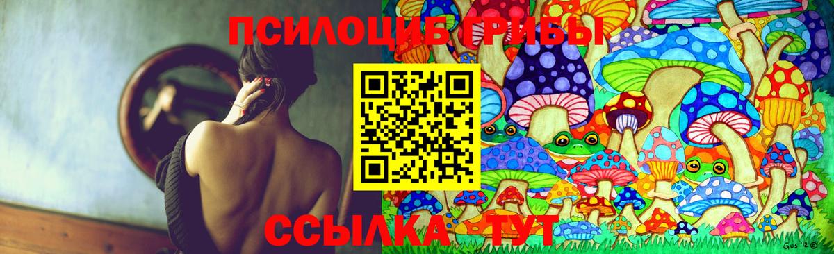 Галлюциногенные грибы прущие грибы  Вход с VPN  Щёлково 